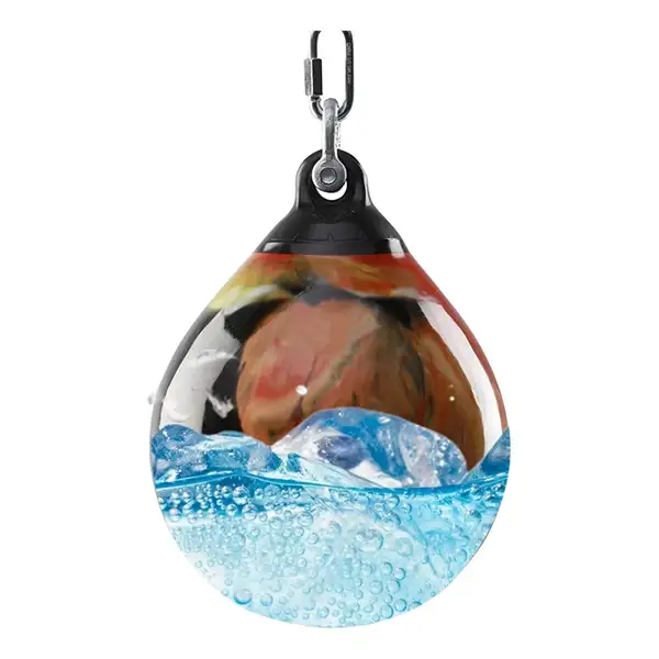 Hanging Boxing Water Bag