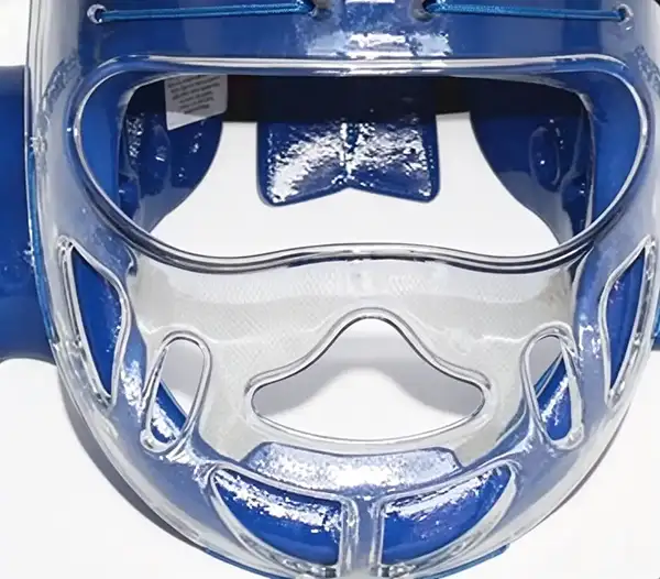 Taekwondo Headgear With Fixed Mask